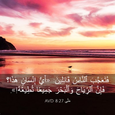 Picture 03 - مَتَّى 8:27 AVD - فَتَعَجَّبَ ٱلنَّاسُ - Bible Verse Picture