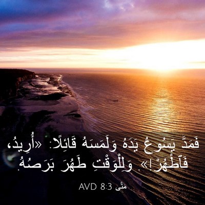 Picture 03 - مَتَّى 8:3 AVD - فَمَدَّ يَسُوعُ يَدَهُ - Bible Verse Picture