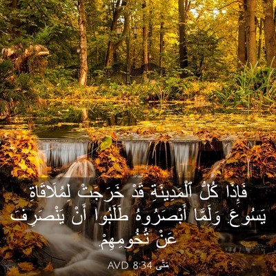 Picture 03 - مَتَّى 8:34 AVD - فَإِذَا كُلُّ - Bible Verse Picture