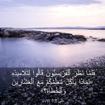 Picture 03 - مَتَّى 9:11 AVD - فَلَمَّا نَظَرَ - Bible Verse Picture
