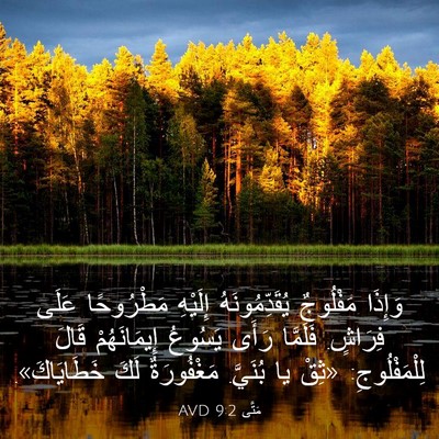 Picture 03 - مَتَّى 9:2 AVD - وَإِذَا مَفْلُوجٌ - Bible Verse Picture