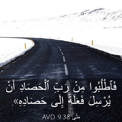 Picture 03 - مَتَّى 9:38 AVD - فَٱطْلُبُوا مِنْ رَبِّ - Bible Verse Picture