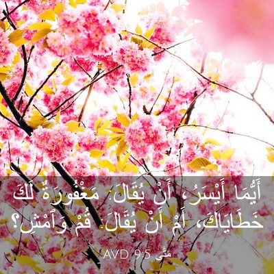 Picture 03 - مَتَّى 9:5 AVD - أَيُّمَا أَيْسَرُ، أَنْ - Bible Verse Picture