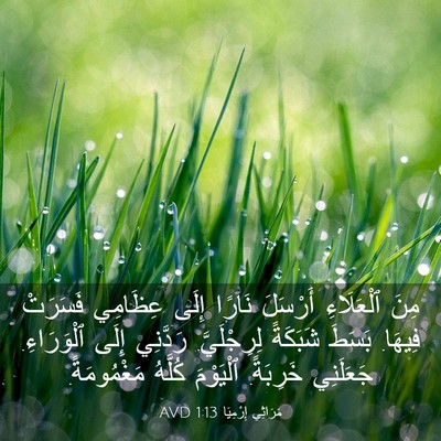 Picture 03 - مَرَاثِي إِرْمِيَا 1:13 AVD - مِنَ ٱلْعَلَاءِ أَرْسَلَ - Bible Verse Picture