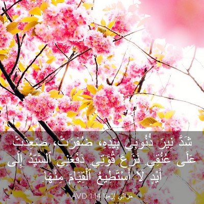 Picture 03 - مَرَاثِي إِرْمِيَا 1:14 AVD - شَدَّ نِيرَ ذُنُوبِي - Bible Verse Picture