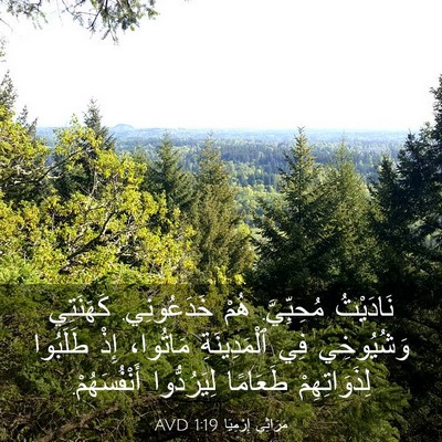 Picture 03 - مَرَاثِي إِرْمِيَا 1:19 AVD - نَادَيْتُ مُحِبِّيَّ. هُمْ - Bible Verse Picture