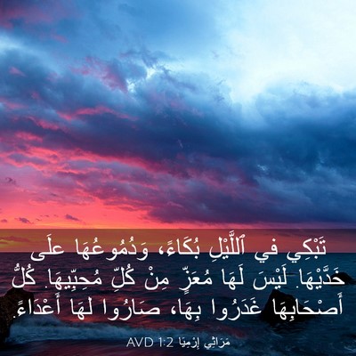 Picture 03 - مَرَاثِي إِرْمِيَا 1:2 AVD - تَبْكِي في ٱللَّيْلِ - Bible Verse Picture