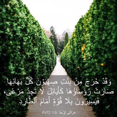 Picture 03 - مَرَاثِي إِرْمِيَا 1:6 AVD - وَقَدْ خَرَجَ مِنْ بِنْتِ - Bible Verse Picture