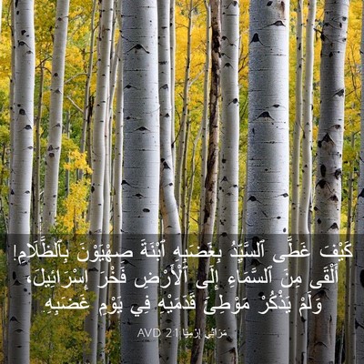 Picture 03 - مَرَاثِي إِرْمِيَا 2:1 AVD - كَيْفَ غَطَّى ٱلسَّيِّدُ - Bible Verse Picture
