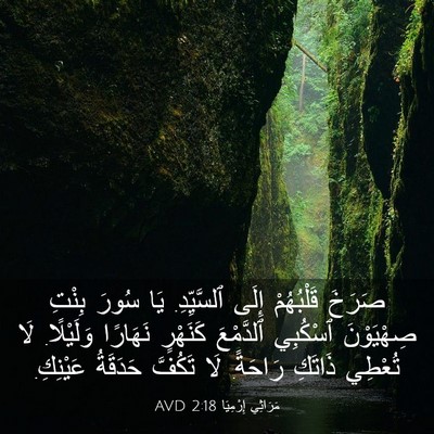 Picture 03 - مَرَاثِي إِرْمِيَا 2:18 AVD - صَرَخَ قَلْبُهُمْ إِلَى - Bible Verse Picture