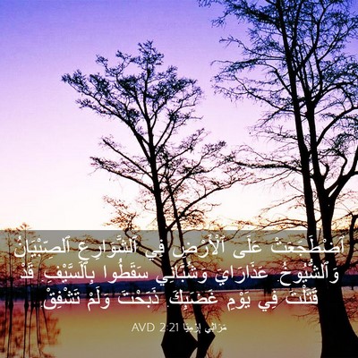 Picture 03 - مَرَاثِي إِرْمِيَا 2:21 AVD - ٱضْطَجَعَتْ عَلَى - Bible Verse Picture