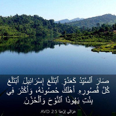 Picture 03 - مَرَاثِي إِرْمِيَا 2:5 AVD - صَارَ ٱلسَّيِّدُ - Bible Verse Picture