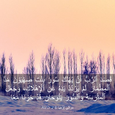Picture 03 - مَرَاثِي إِرْمِيَا 2:8 AVD - قَصَدَ ٱلرَّبُّ أَنْ - Bible Verse Picture