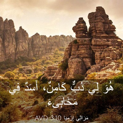 Picture 03 - مَرَاثِي إِرْمِيَا 3:10 AVD - هُوَ لِي دُبٌّ كَامِنٌ، - Bible Verse Picture