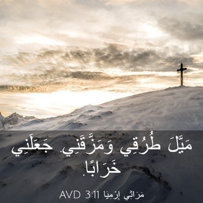 Picture 03 - مَرَاثِي إِرْمِيَا 3:11 AVD - مَيَّلَ طُرُقِي - Bible Verse Picture