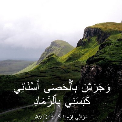 Picture 03 - مَرَاثِي إِرْمِيَا 3:16 AVD - وَجَرَشَ بِٱلْحَصَى - Bible Verse Picture