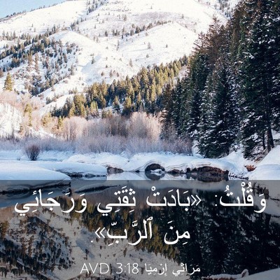 Picture 03 - مَرَاثِي إِرْمِيَا 3:18 AVD - وَقُلْتُ: «بَادَتْ ثِقَتِي - Bible Verse Picture