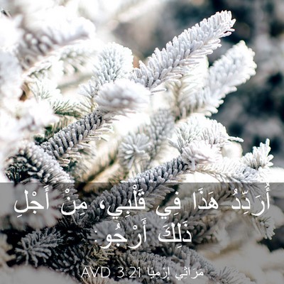 Picture 03 - مَرَاثِي إِرْمِيَا 3:21 AVD - أُرَدِّدُ هَذَا فِي - Bible Verse Picture