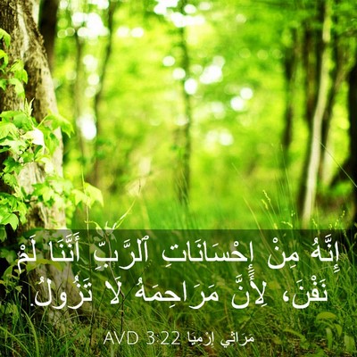 Picture 03 - مَرَاثِي إِرْمِيَا 3:22 AVD - إِنَّهُ مِنْ إِحْسَانَاتِ - Bible Verse Picture