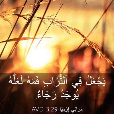 Picture 03 - مَرَاثِي إِرْمِيَا 3:29 AVD - يَجْعَلُ فِي ٱلتُّرَابِ - Bible Verse Picture