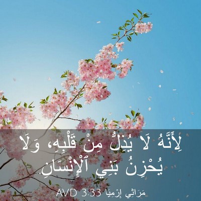 Picture 03 - مَرَاثِي إِرْمِيَا 3:33 AVD - لِأَنَّهُ لَا يُذِلُّ مِنْ - Bible Verse Picture