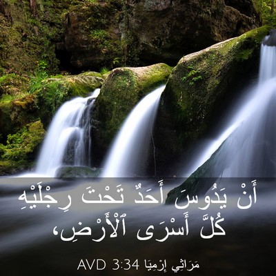 Picture 03 - مَرَاثِي إِرْمِيَا 3:34 AVD - أَنْ يَدُوسَ أَحَدٌ تَحْتَ - Bible Verse Picture