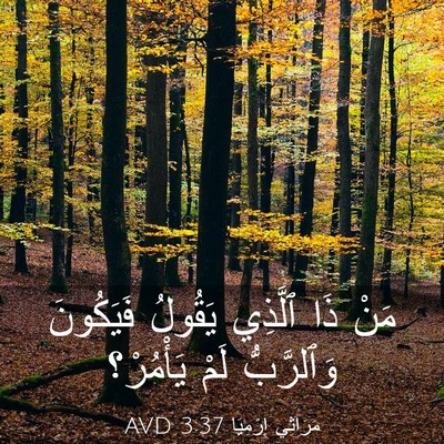 Picture 03 - مَرَاثِي إِرْمِيَا 3:37 AVD - مَنْ ذَا ٱلَّذِي يَقُولُ - Bible Verse Picture