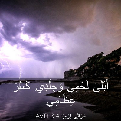 Picture 03 - مَرَاثِي إِرْمِيَا 3:4 AVD - أَبْلَى لَحْمِي وَجِلْدِي. - Bible Verse Picture