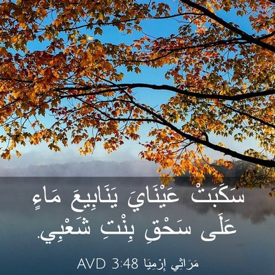 Picture 03 - مَرَاثِي إِرْمِيَا 3:48 AVD - سَكَبَتْ عَيْنَايَ - Bible Verse Picture
