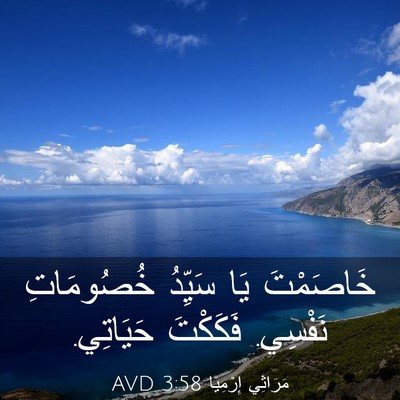 Picture 03 - مَرَاثِي إِرْمِيَا 3:58 AVD - خَاصَمْتَ يَا سَيِّدُ - Bible Verse Picture