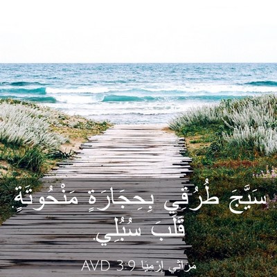 Picture 03 - مَرَاثِي إِرْمِيَا 3:9 AVD - سَيَّجَ طُرُقِي - Bible Verse Picture