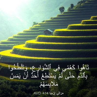 Picture 03 - مَرَاثِي إِرْمِيَا 4:14 AVD - تَاهُوا كَعُمْيٍ فِي - Bible Verse Picture
