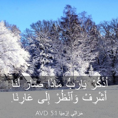 Picture 03 - مَرَاثِي إِرْمِيَا 5:1 AVD - اُذْكُرْ يَارَبُّ مَاذَا - Bible Verse Picture