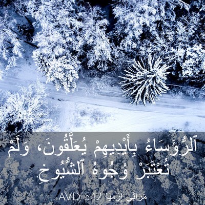 Picture 03 - مَرَاثِي إِرْمِيَا 5:12 AVD - ٱلرُّؤَسَاءُ - Bible Verse Picture