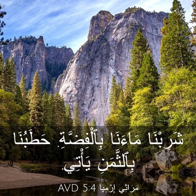 Picture 03 - مَرَاثِي إِرْمِيَا 5:4 AVD - شَرِبْنَا مَاءَنَا - Bible Verse Picture