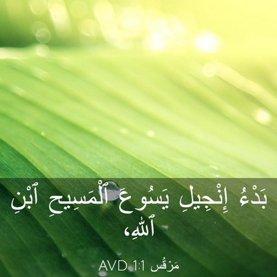 Picture 03 - مَرْقُس 1:1 AVD - بَدْءُ إِنْجِيلِ يَسُوعَ - Bible Verse Picture
