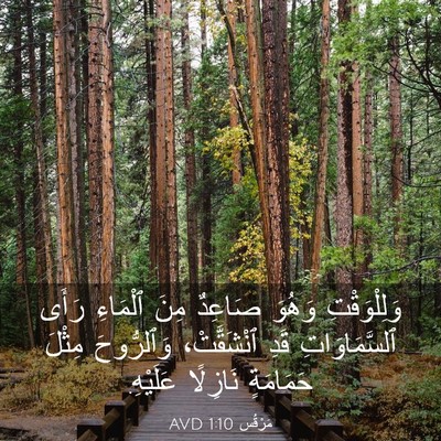 Picture 03 - مَرْقُس 1:10 AVD - وَلِلْوَقْتِ وَهُوَ - Bible Verse Picture