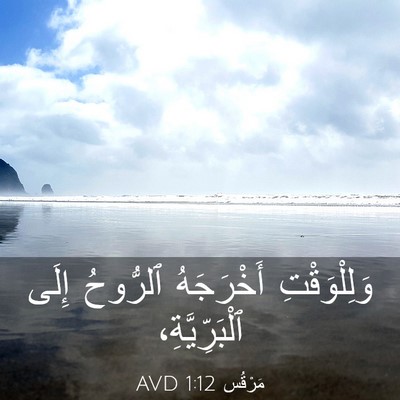 Picture 03 - مَرْقُس 1:12 AVD - وَلِلْوَقْتِ أَخْرَجَهُ - Bible Verse Picture