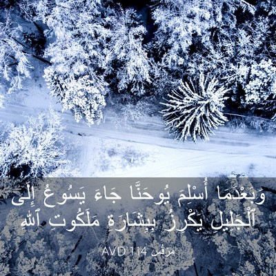 Picture 03 - مَرْقُس 1:14 AVD - وَبَعْدَمَا أُسْلِمَ - Bible Verse Picture