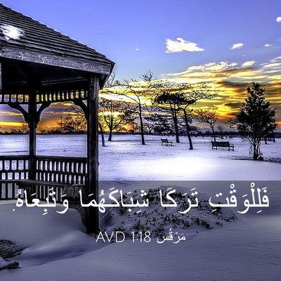 Picture 03 - مَرْقُس 1:18 AVD - فَلِلْوَقْتِ تَرَكَا - Bible Verse Picture