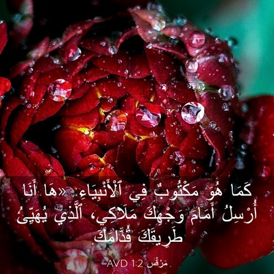 Picture 03 - مَرْقُس 1:2 AVD - كَمَا هُوَ مَكْتُوبٌ فِي - Bible Verse Picture