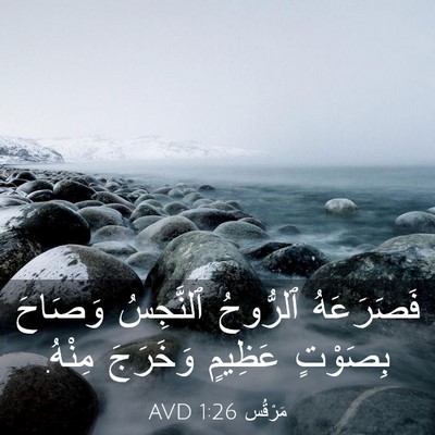 Picture 03 - مَرْقُس 1:26 AVD - فَصَرَعَهُ ٱلرُّوحُ - Bible Verse Picture