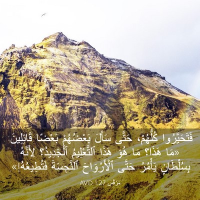 Picture 03 - مَرْقُس 1:27 AVD - فَتَحَيَّرُوا كُلُّهُمْ، - Bible Verse Picture