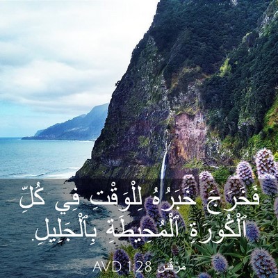 Picture 03 - مَرْقُس 1:28 AVD - فَخَرَجَ خَبَرُهُ - Bible Verse Picture