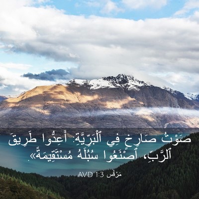Picture 03 - مَرْقُس 1:3 AVD - صَوْتُ صَارِخٍ فِي - Bible Verse Picture