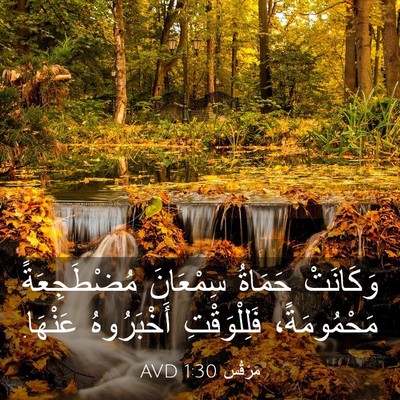 Picture 03 - مَرْقُس 1:30 AVD - وَكَانَتْ حَمَاةُ - Bible Verse Picture