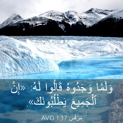 Picture 03 - مَرْقُس 1:37 AVD - وَلَمَّا وَجَدُوهُ - Bible Verse Picture