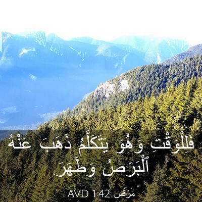 Picture 03 - مَرْقُس 1:42 AVD - فَلِلْوَقْتِ وَهُوَ - Bible Verse Picture