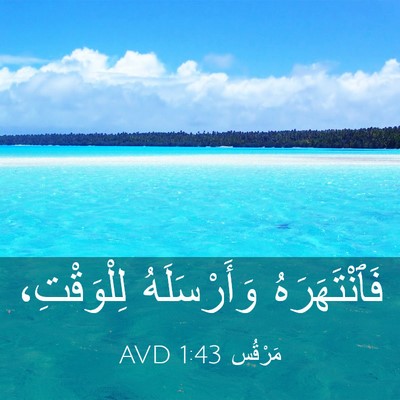 Picture 03 - مَرْقُس 1:43 AVD - فَٱنْتَهَرَهُ - Bible Verse Picture