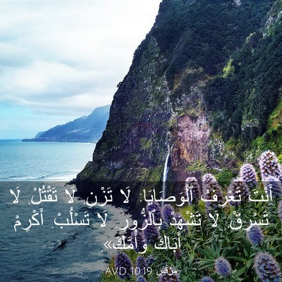 Picture 03 - مَرْقُس 10:19 AVD - أَنْتَ تَعْرِفُ - Bible Verse Picture